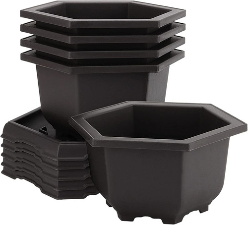 Pack bonsai pots hexagon - bonsai, pots,