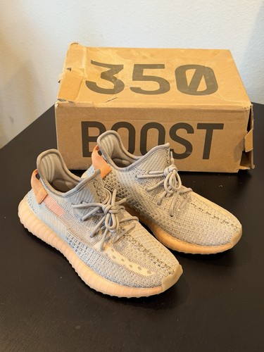 Adidas yeezy boost - 350, true