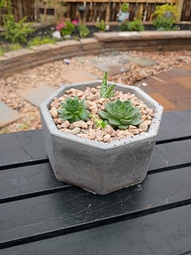 Handmade concrete planter pot