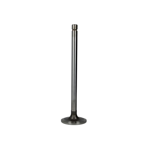 Intake valve fits daf - valve, cf