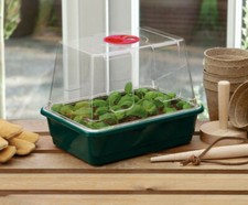 Small High Dome Propagator