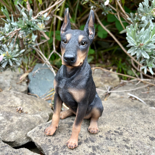 Vivid arts doberman pinscher - arts,