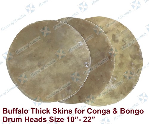 Buffalo hide drum head - buffalo,
