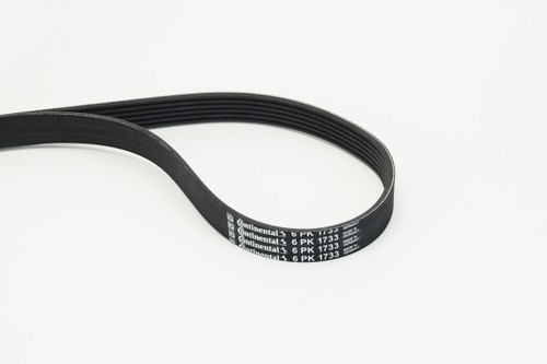 Ribbed belt continental - belt, ctam