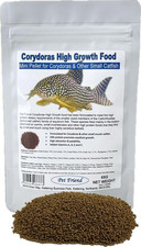 Corydoras Catfish High Growth