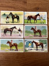 Wills (Australia) - Horses of