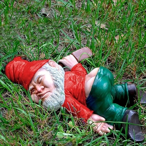 Funny drunk dwarf - dwarf, gnome