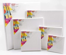 Blank Artist Canvas Art Board Plain Painting Stretched Framed White Large Small