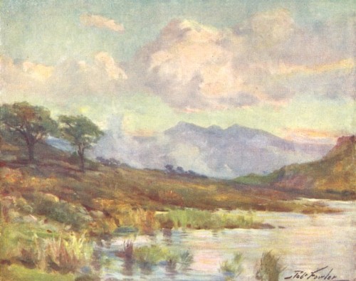 Wales snowdon from capel - snowdon,