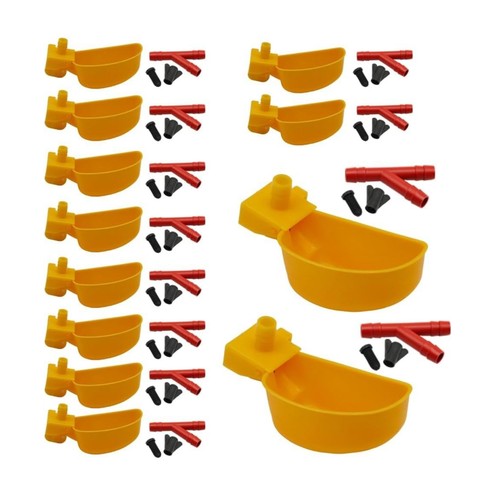 Pieces bird cup with - pieces,