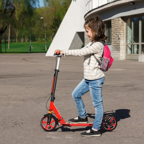 Large wheel foldable - large,