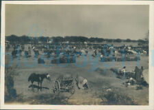 1920s 9th Queens Royal Lancers Camp Horses Soldiers in morning