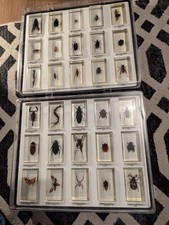 National Geographic Real Life