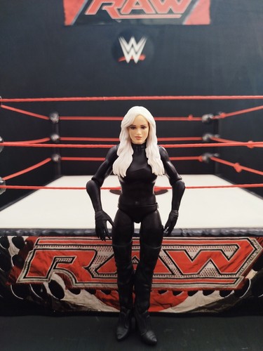 Mattel wwe basic - basic, 120