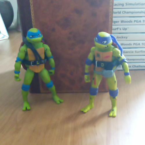 Teenage mutant ninja - teenage,
