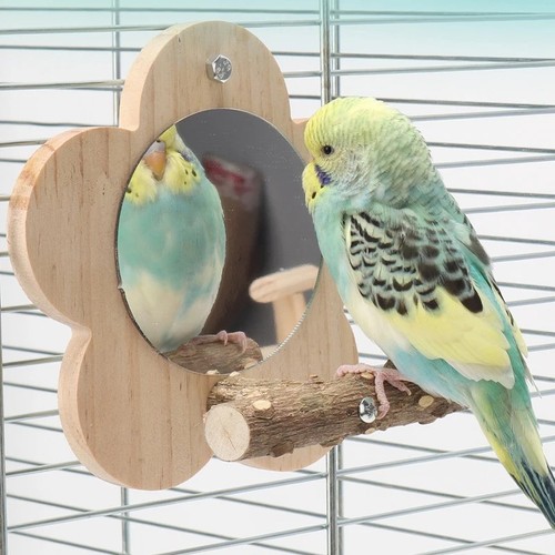 Bird mirror with perch hanging - mirror,