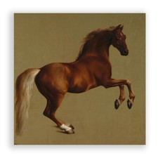 George Stubbs Whistlejacket
