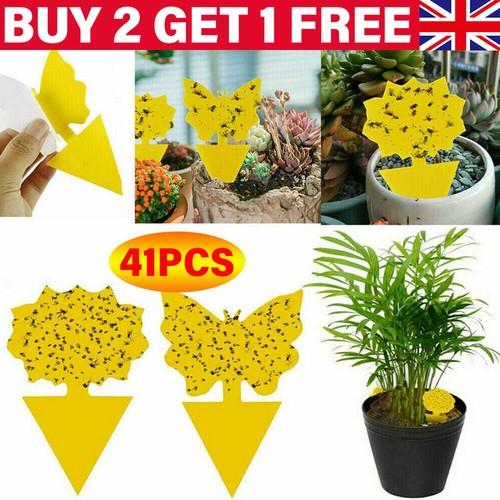 41pcs fly catcher - fly, sticky
