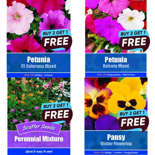 Flower seeds grow - flower,