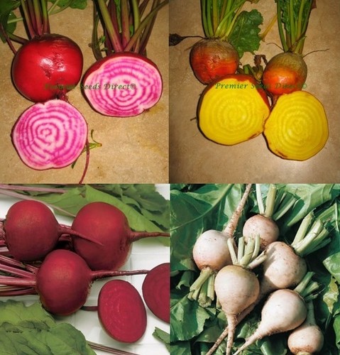 Beetroot rainbow mix - gram, ~