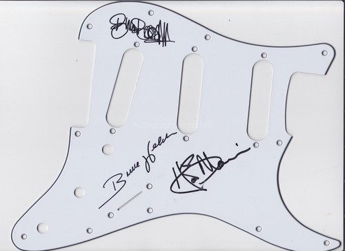 The shadows hand signed - the, guitar
