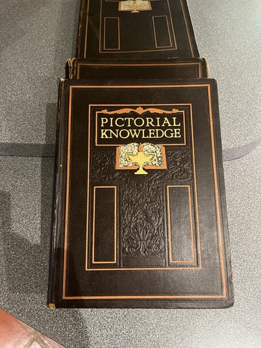 Pictorial knowledge - pictorial,