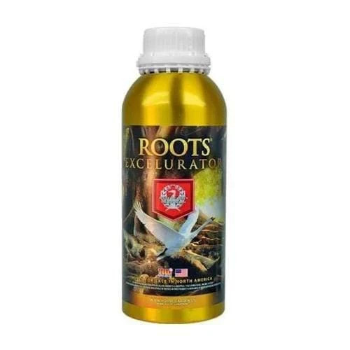 House and garden roots - garden,