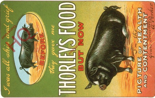 Picture postcard thorley s - picture, postcard;