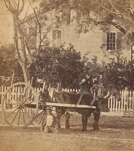 Antique florida african - florida,