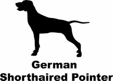 German Shorthaired Pointer