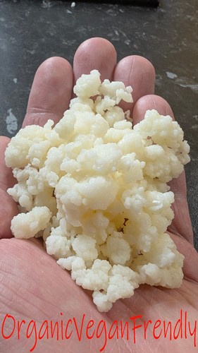 30g organic milk kefir - kefir, grains