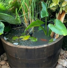 LARGE Watertight 100% GUARANTEED  - Oak WINE half barrel planter patio MINI POND