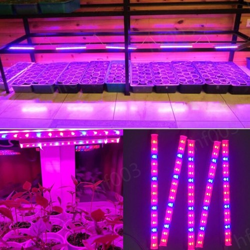 Greenhouse plant grow - light, t5