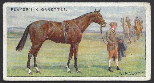 Player racehorses 23 - -,
