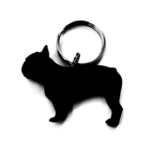 French bulldog female bitch - bulldog,