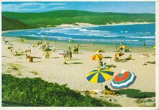 South Africa Postcard -