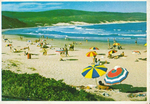 South africa postcard - postcard,
