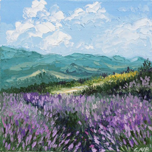 Mountain lavender landscape - lavender,
