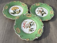 Antique Hand Painted Botanical