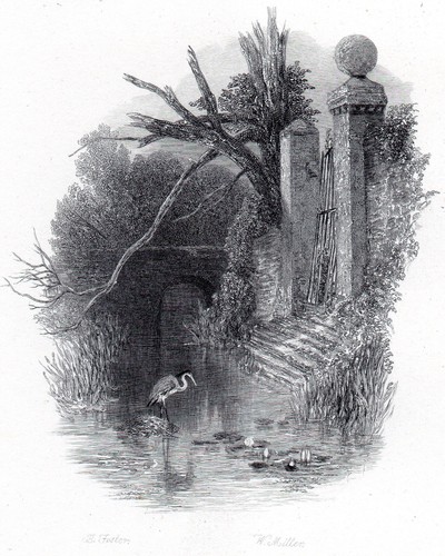 Haunted house 1881 myles - haunted,