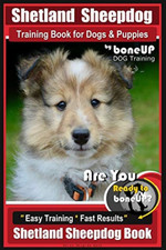 Shetland Sheepdog Training