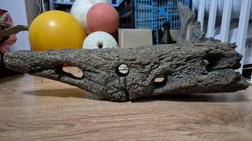 Heavy driftwood beachfind home - heavy,