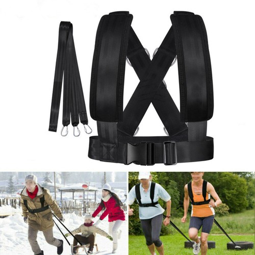 Weight sled harness workout - weight,