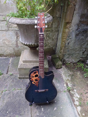 Washburn sundance 1980s - washburn,