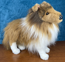 Douglas Dixie Sheltie Collie
