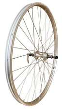 Baldys 26" Silver Rear Screw