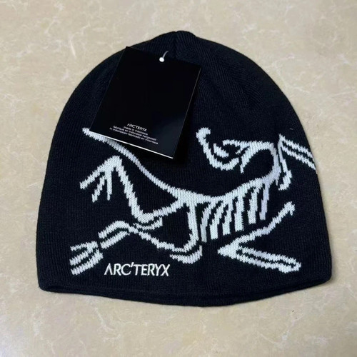 Arc teryx skeleton - arc’teryx,