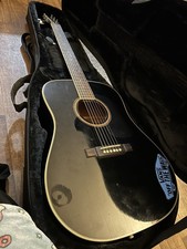 Washburn Acoustic Guitar D10SB