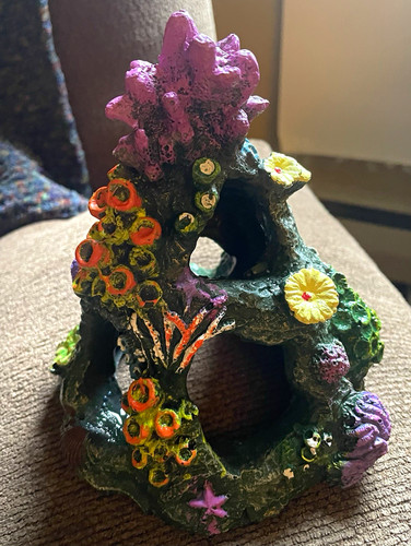 Multicolor coral reef cave - multicolor,