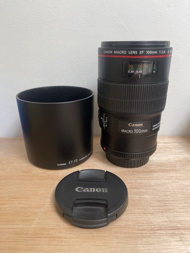 Canon 100mm 8l macro is - ef,